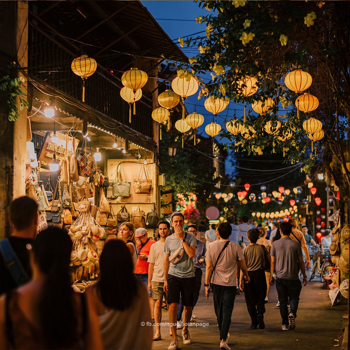 hoi an food
