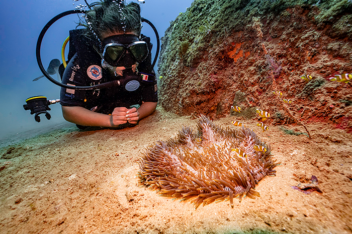 CHAM ISLAND DIVING