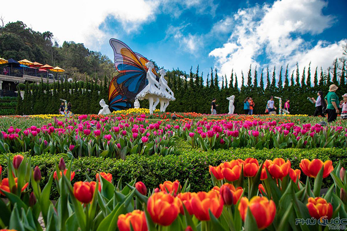 TOUR HỘI AN BÀ NÀ HILLS