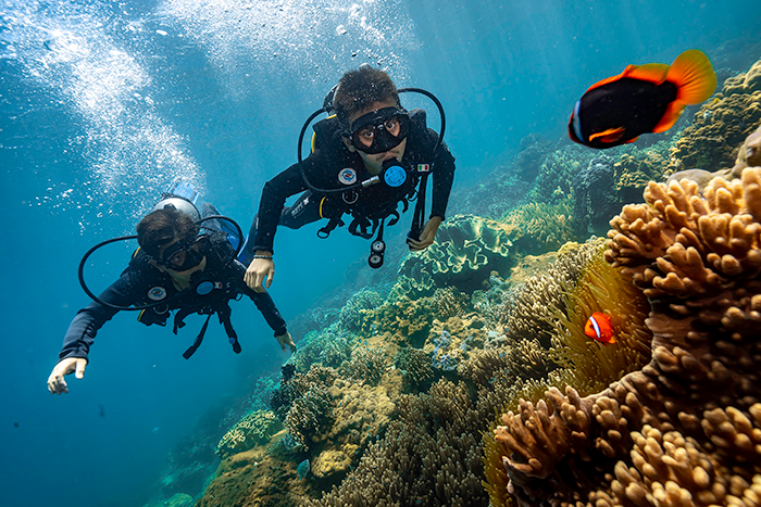 CHAM ISLAND DIVING